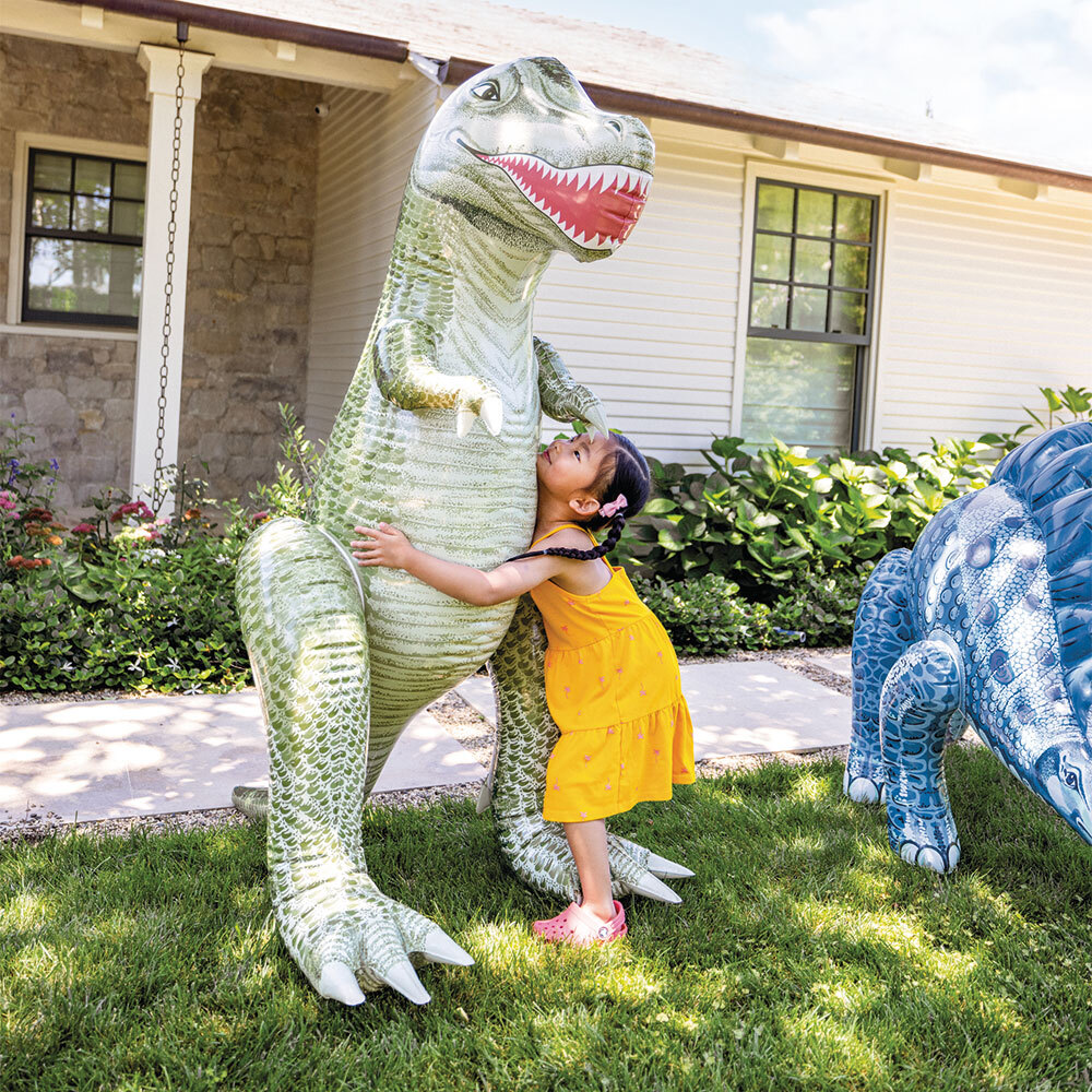 Brassards Gonflables Dinosaures Pour Enfants - Intex - Taille 23x20 Cm - À Partir De 3 Ans - Sécurité 2 Chambres à Air