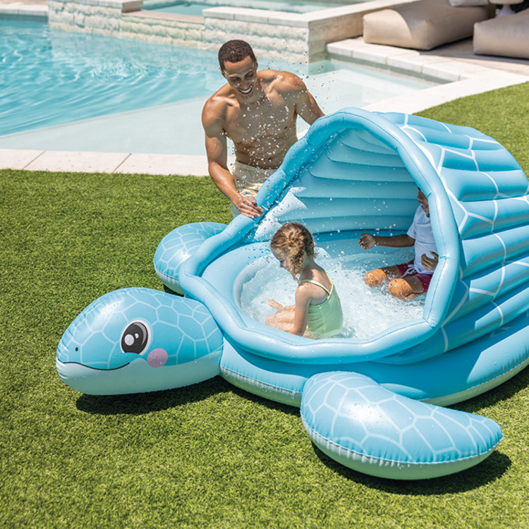 Aire de jeux tortue