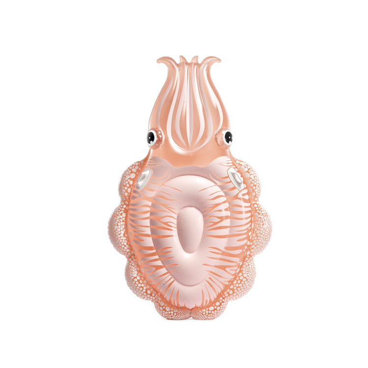 Matelas seiche nacrée