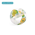 Ballon flowers