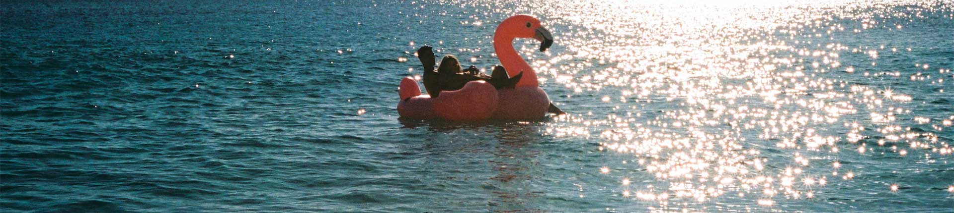 INTEX, élue Marque Préférée des Français ?