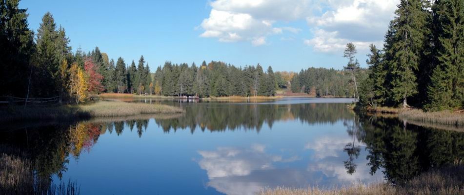 Les vacances d'automne avec INTEX ?